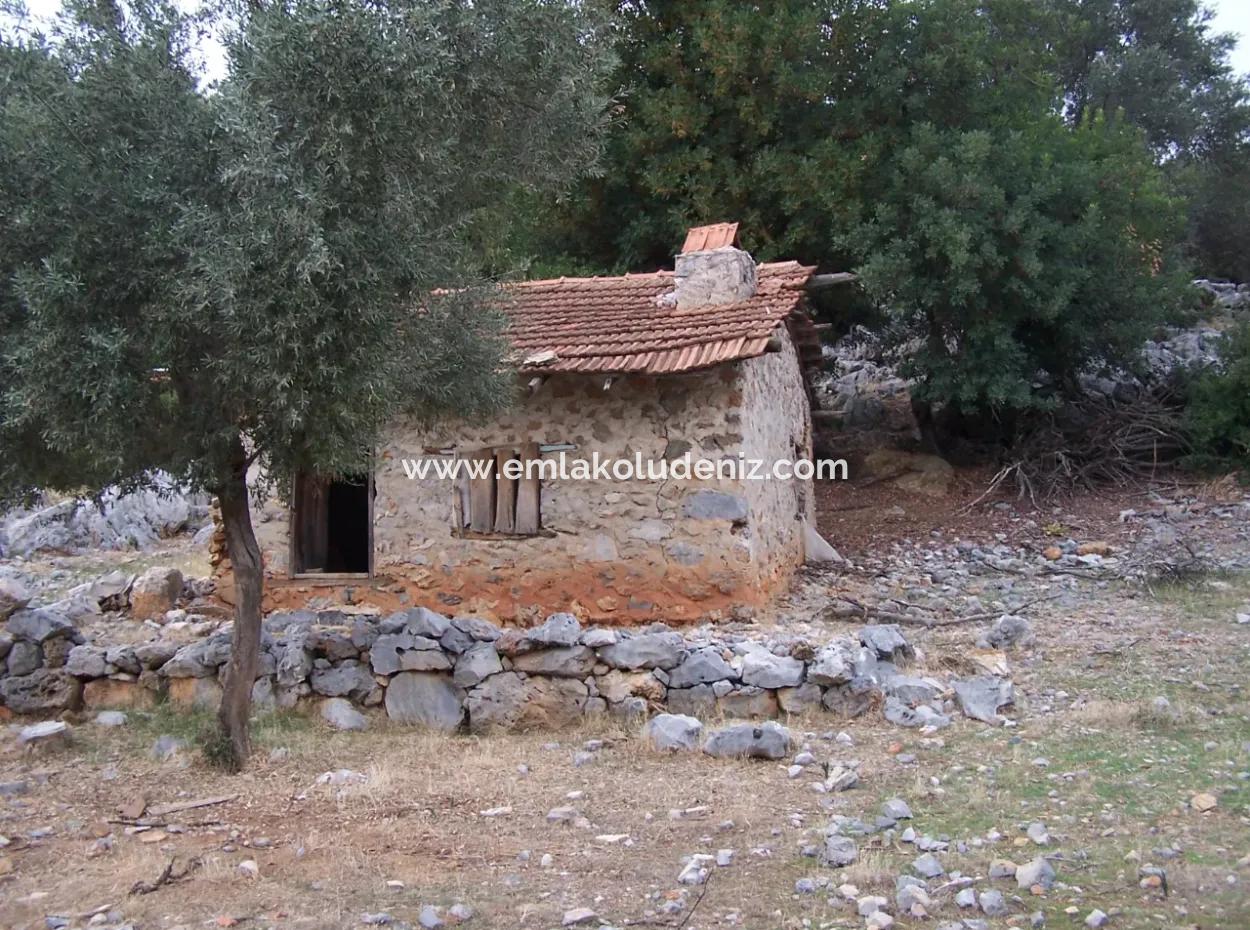 House For Sale In Sarsalada Sea View 4274M2 Plot