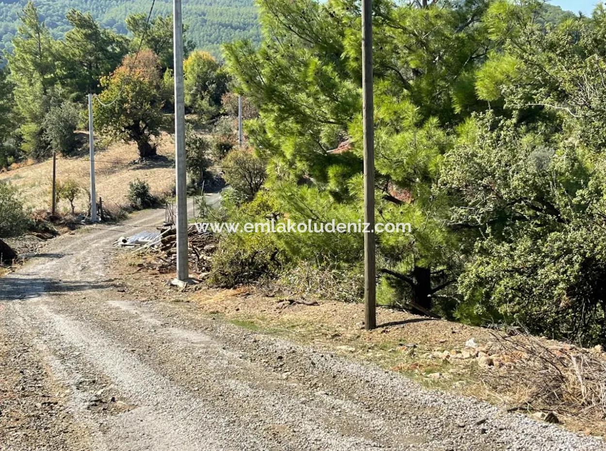 4801M2 Land For Sale In Gökbel With Full Sea View
