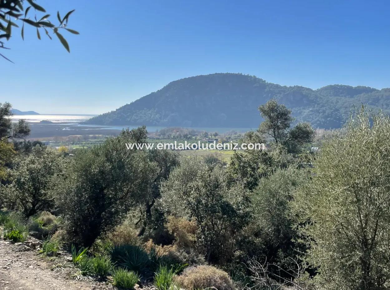 950M2 2B Field For Sale With Sea And Lake View In Çandır