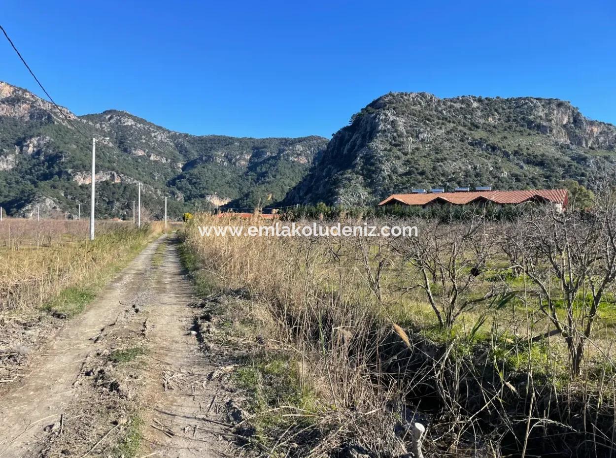 Dalyan Iztuzu Road Zero 5216M2 Field Plot For Sale