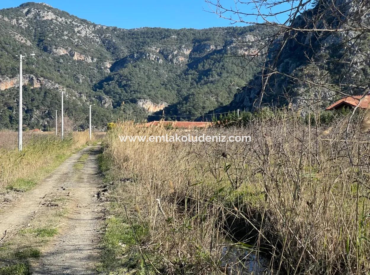 Dalyan Iztuzu Road Zero 5216M2 Field Plot For Sale