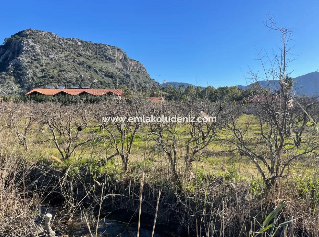 Dalyan Iztuzu Road Zero 5216M2 Field Plot For Sale
