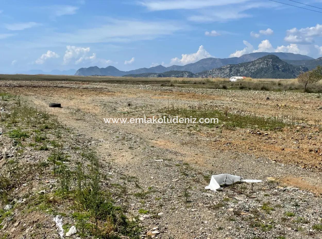 Dalyan Iztuzu Beach Road Zero 19,600M2 Field Land For Sale