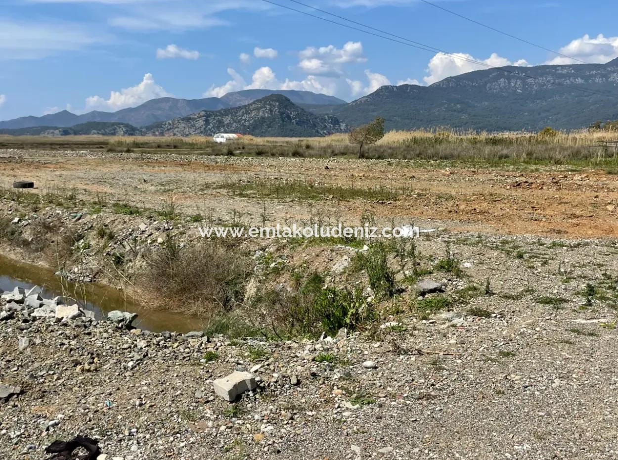 Dalyan Iztuzu Beach Road Zero 19,600M2 Field Land For Sale