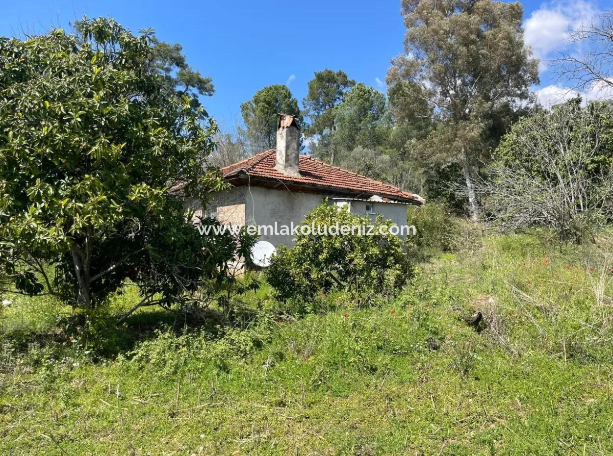 Village House For Sale In 5650M2 Field In Zeytinalann