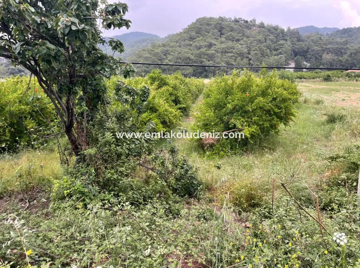 Gökbelde 14,000M2 Field For Sale