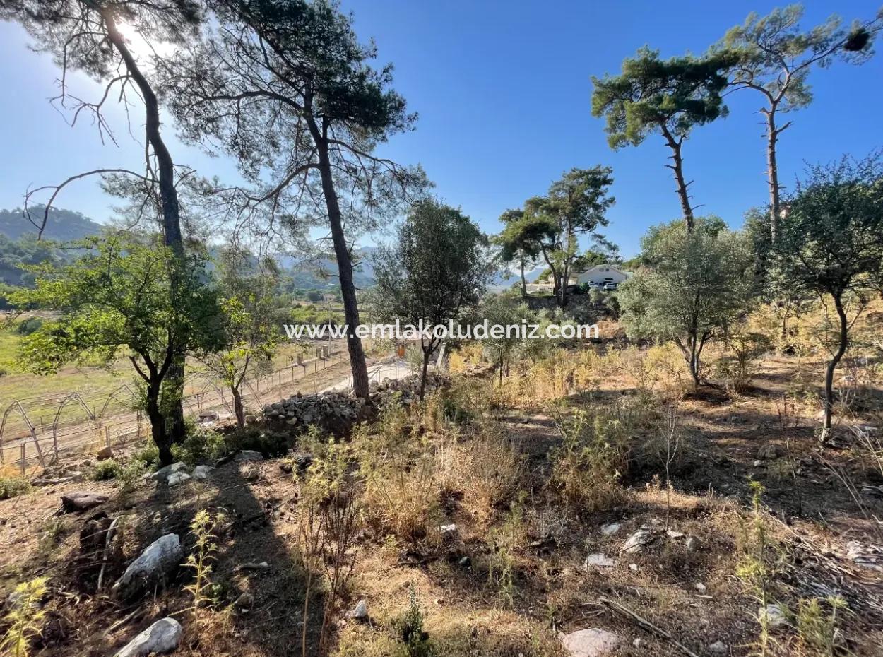 1,320M2 Field For Sale In Çandır Center By The Forest
