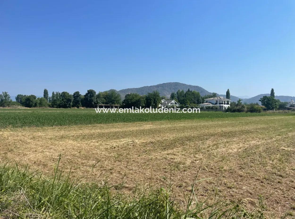 Land For Sale Of 2715M2 In The Built-Up Area Of The Village In Okçular