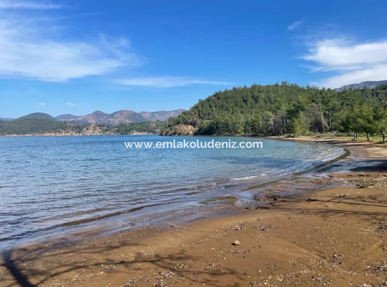 Sultaniye Büyükkaraç Mahallesin For Sale Field