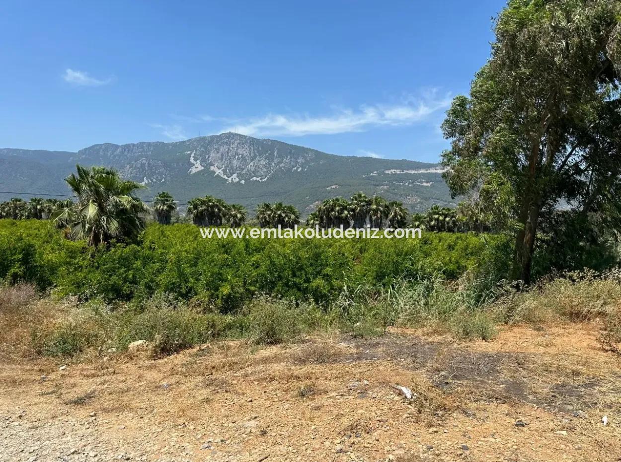 13,500M2 Roadfront Field For Sale In Akyaka Akçapınar