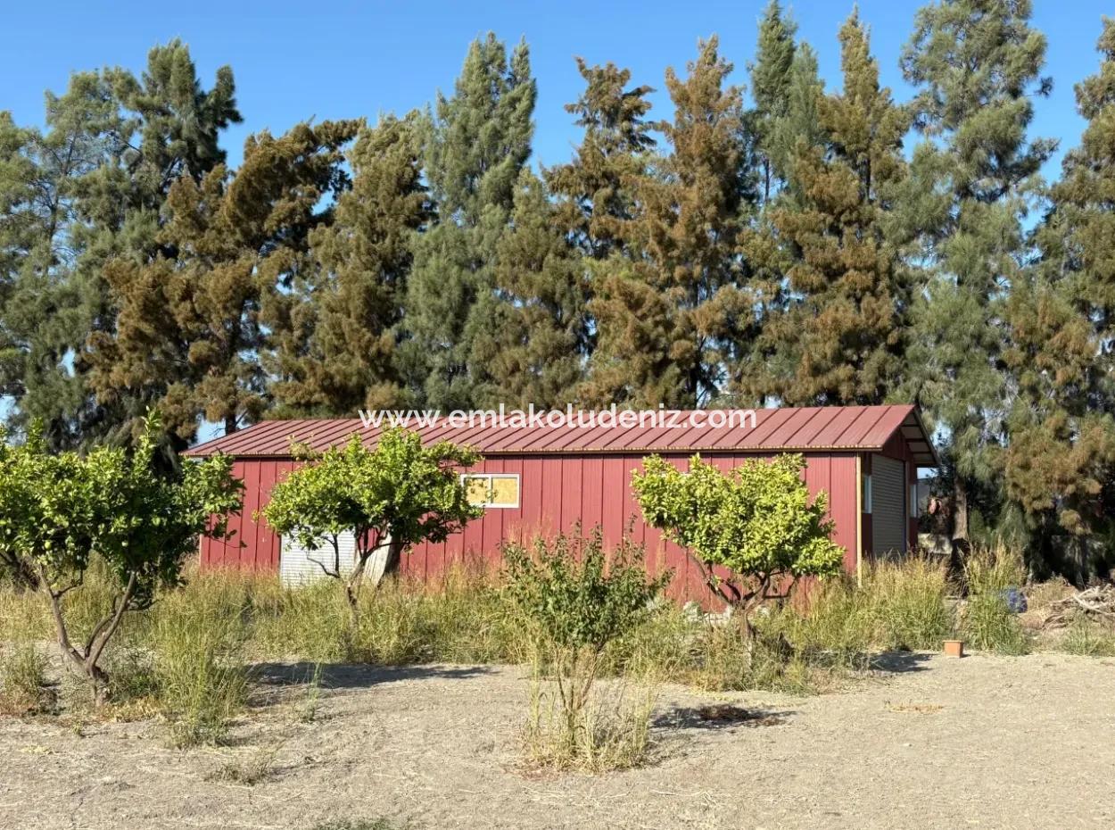 19.663M2 Farm Land And House For Sale In Eskiköy