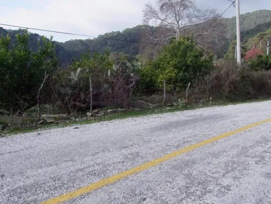 For Sale In Koycegiz, Dalyan Plot For Sale 10629M2