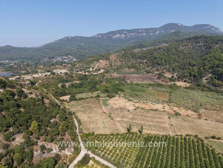 Село Köyceğiz в районе Çandır, у канала, 20.000м2 продажа поля