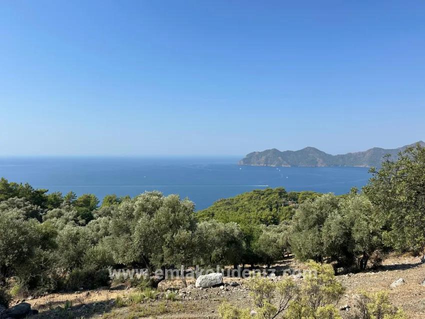 Для продажи Поле в Çandır Köyceğiz - Под Поле застройку - 21.000 m²