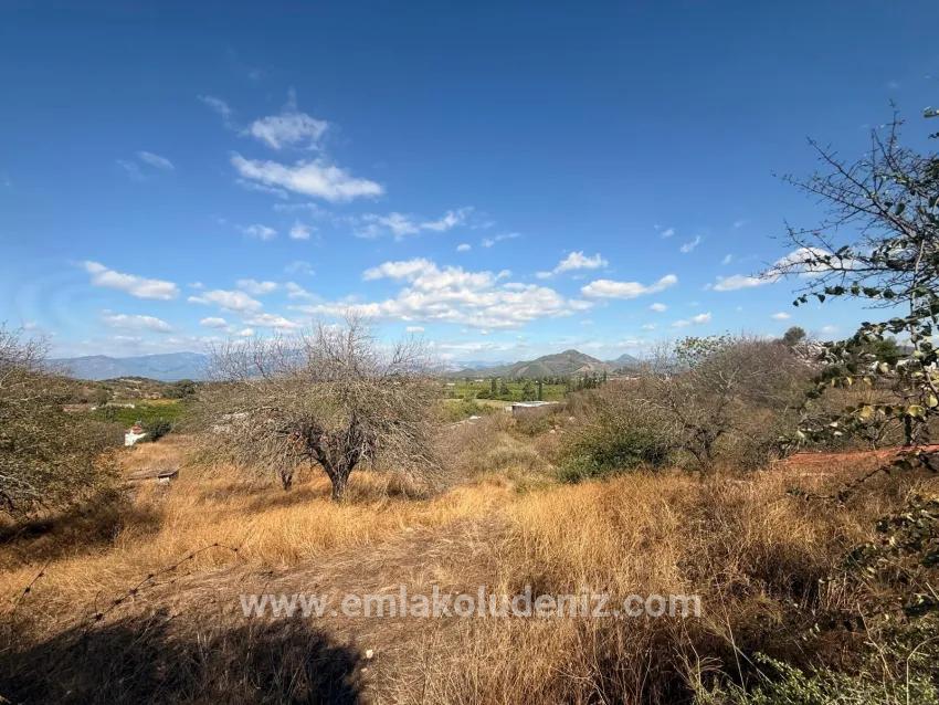 Для продажи Поле в Dalyan Ortaca - Под Поле застройку - 5.000 m²