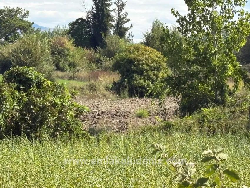 Для продажи Поле в Zeytinalanı Köyceğiz - Под Поле застройку - 10.500 m²