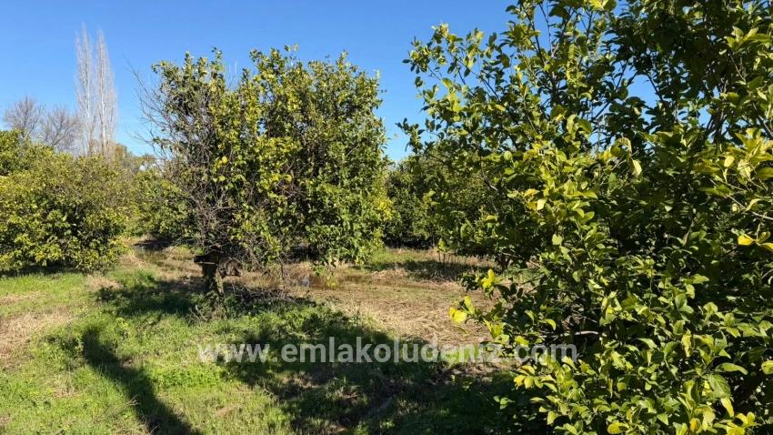 Продается Земельный Участок Площадью 2 218 М² В Окчуларе, Мармарис.