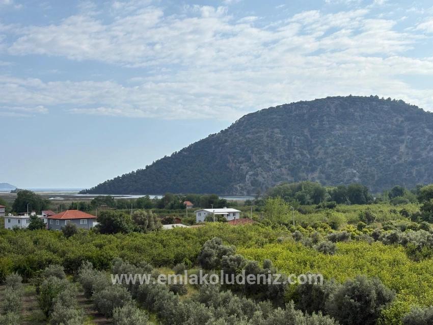 Для продажи Поле в Çandır Köyceğiz - Под Поле застройку - 1.721 m²