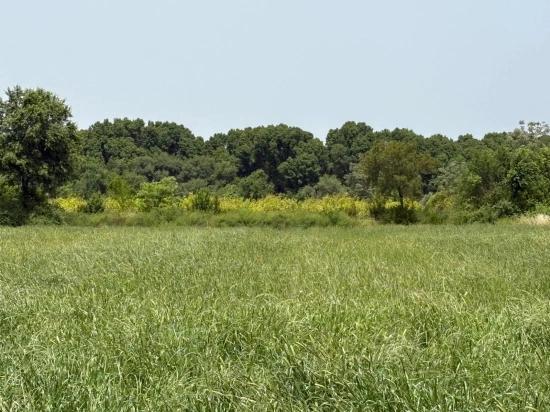 Продается Земельный Участок Площадью 2100 М2 В Окчуларе, Мармарис.