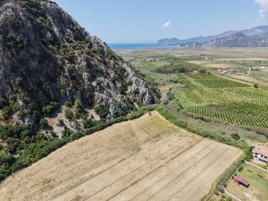 В Далиане 20.786м2 продажа поля