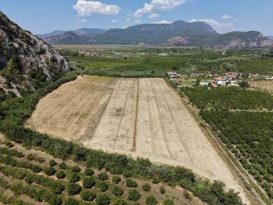 В Далиане 20.786м2 продажа поля