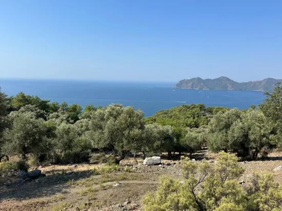 В Çandır с видом на море 21.000 m2 продаётся 2b поле