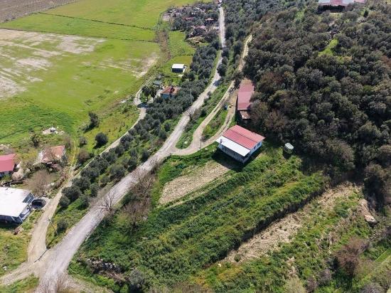 Гранатовый Сад Площадью 16.710 М2 На Продажу С Видом На Озеро В Эскикёй