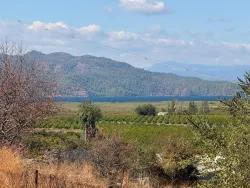Для продажи Поле в Dalyan Ortaca - Под Поле застройку - 5.000 m²