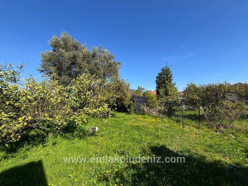 Ortaca Okçular Mah. Satılık 2+1 Müstakil ev - 459 m²