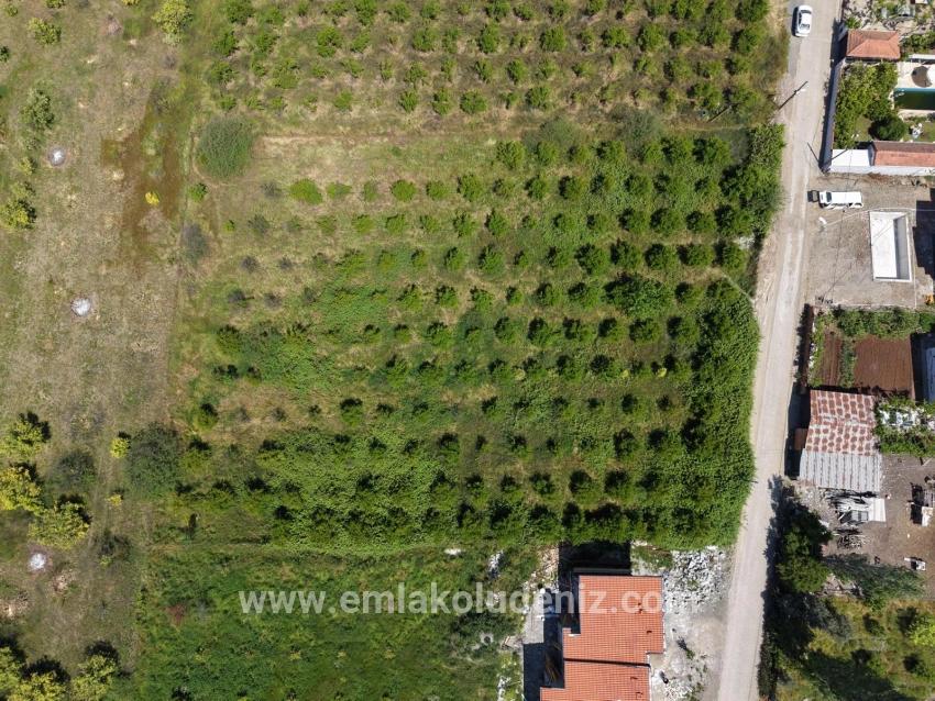 Okçular'da 1050m2 Köy Yerleşik Alanında Satılık Arsa