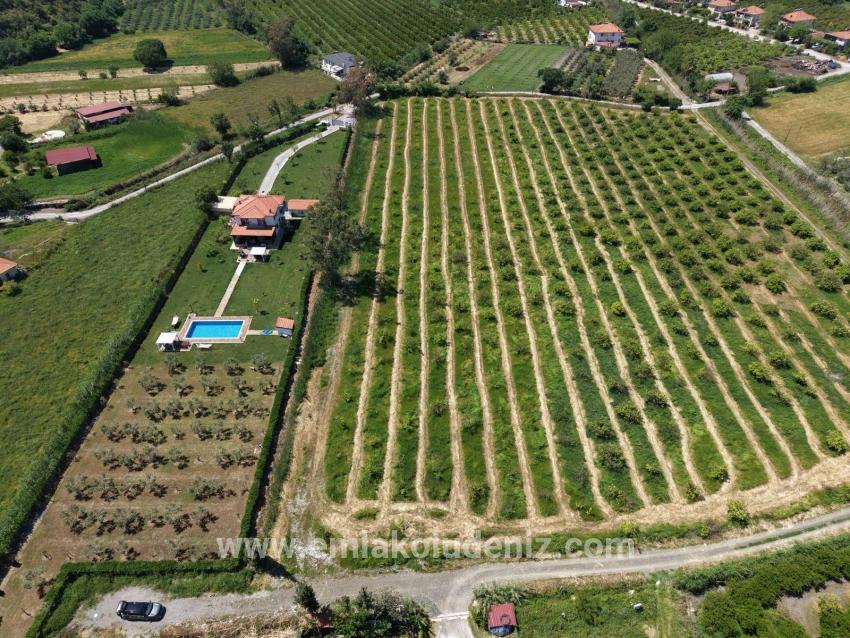 Dalyan Merkeze Yakın 5100m2 Satılık Tarla