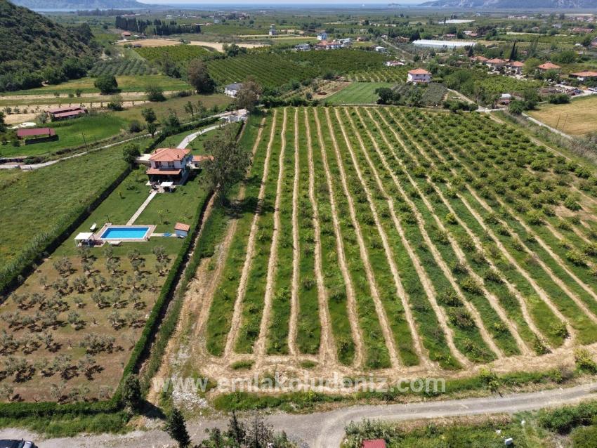 Dalyan Merkeze Yakın 5100m2 Satılık Tarla
