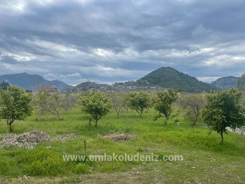 Dalyan'da 11.000m2 Arsa İçerisinde Satılık Butil Otel Ve Bungalov