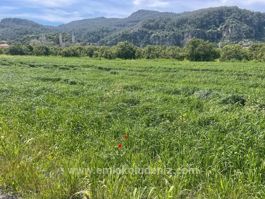 Okçular'da 736m2 Olan 250m2 İnşaat İzinli Satılık Arsa