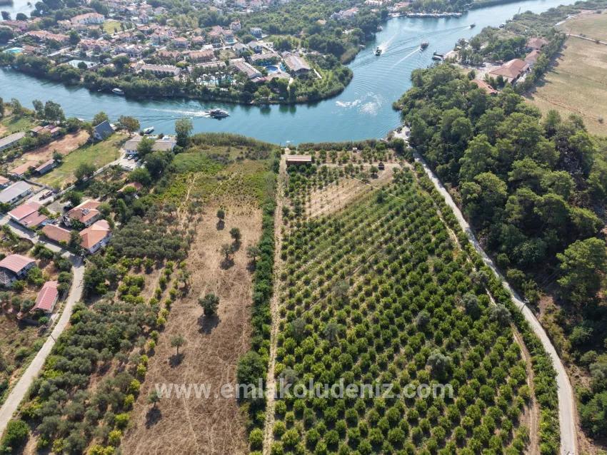 Köyceğiz Çandır Mahallesinde kanala sıfır 20.000m2 satılık tarla