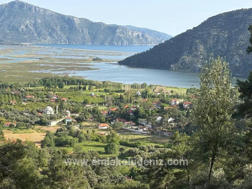 Köyceğiz Çandır Mah. Satılık Tarla - Tarla İmar Durumlu - 1.252 m²
