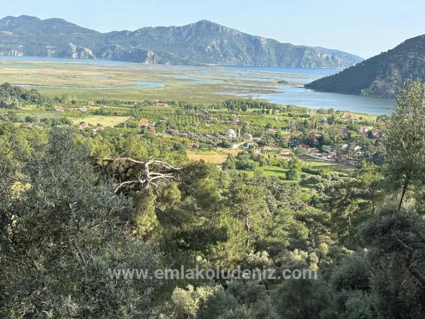 Köyceğiz Çandır Mah. Satılık Tarla - Tarla İmar Durumlu - 1.252 m²