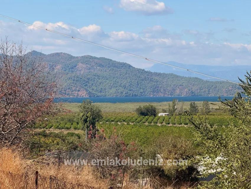 Ortaca Dalyan Mah. Satılık Tarla - Tarla İmar Durumlu - 5.000 m²