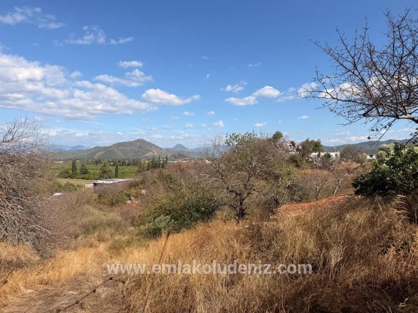 Ortaca Dalyan Mah. Satılık Tarla - Tarla İmar Durumlu - 5.000 m²