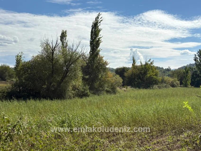 Köyceğiz Zeytinalanı Mah. Satılık Tarla - Tarla İmar Durumlu - 10.500 m²