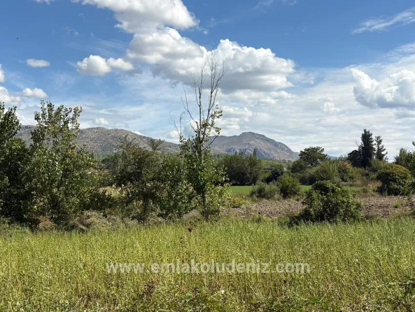 Köyceğiz Zeytinalanı Mah. Satılık Tarla - Tarla İmar Durumlu - 10.500 m²