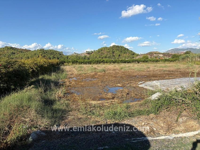 Ortaca Yeşilyurt'ta İmarlı 3900m2 Satılık Arsa
