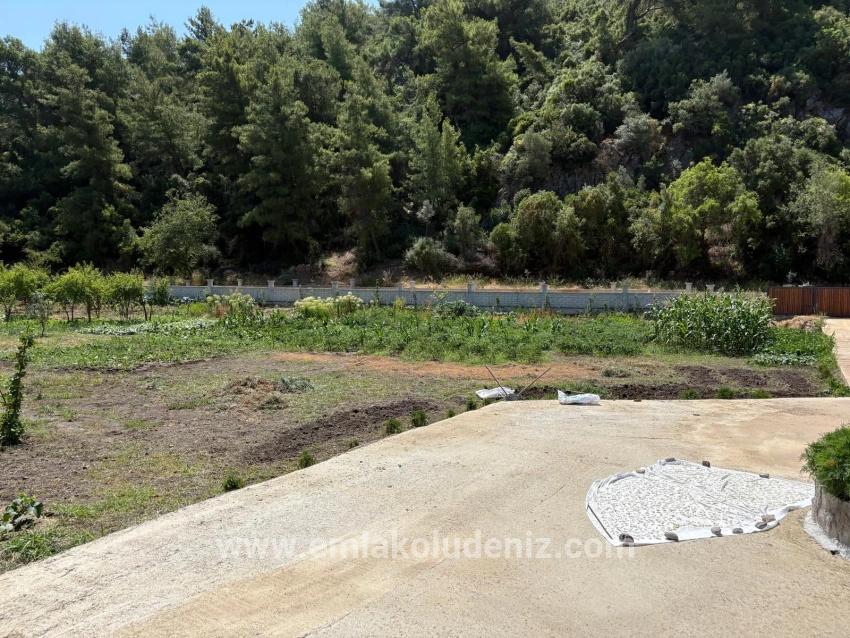 Ortaca Dalyan Mah. Satılık 2+1 Müstakil ev - 2.500 m²