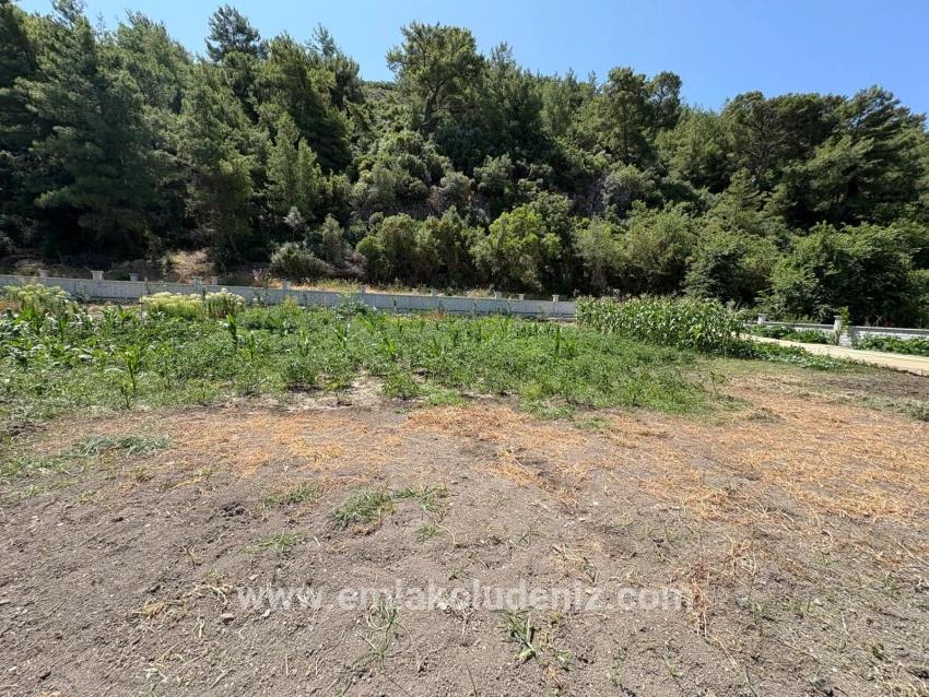 Ortaca Dalyan Mah. Satılık 2+1 Müstakil ev - 2.500 m²