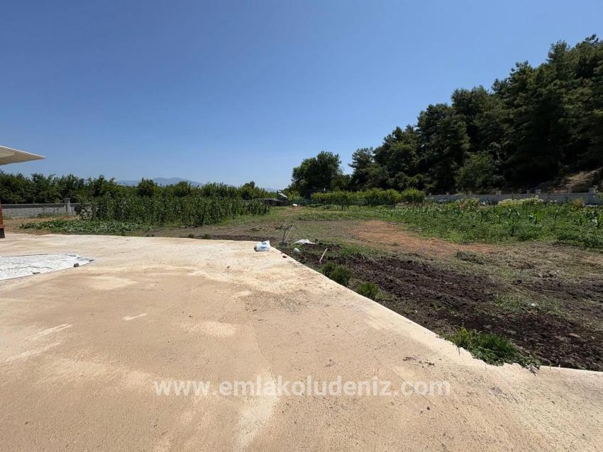 Ortaca Dalyan Mah. Satılık 2+1 Müstakil ev - 2.500 m²