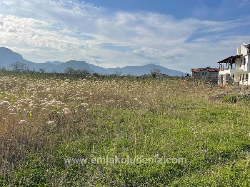 Dalyan'da 6800 M2 %5 Konut İmarlı Satılık Arsa