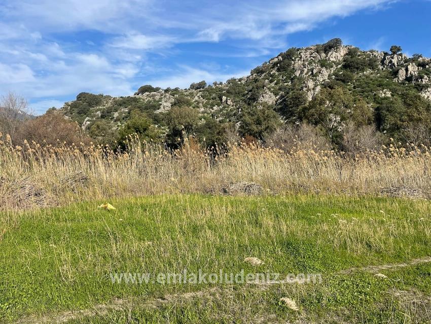 Dalyan'da 6800 M2 %5 Konut İmarlı Satılık Arsa