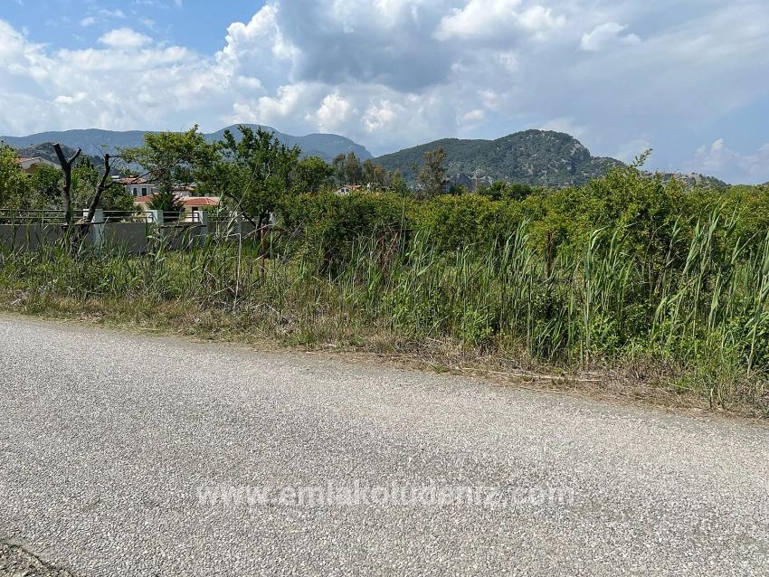 Dalyan Maraş Mevkiinden 5,100m2 %5 Konut İmarlı Satılık Arsa