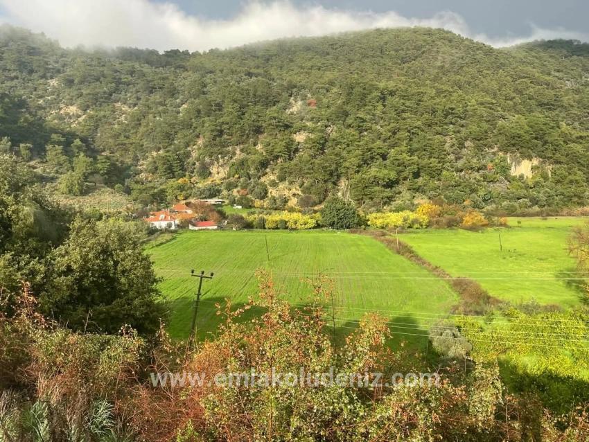 Köyceğiz Çandır Mah. Satılık Arazi - Tarla İmar Durumlu - 35.000 m²