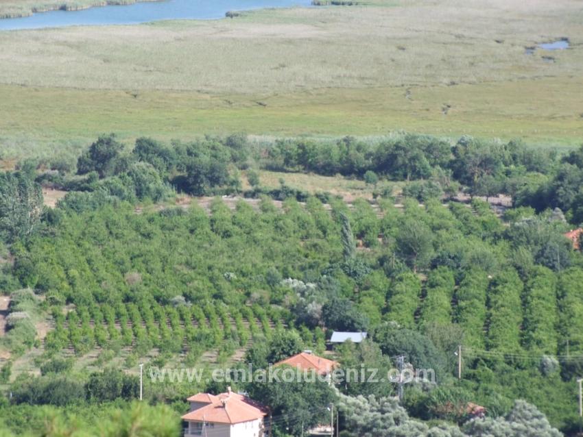 Köyceğiz Çandır'da 19.334m2 Satılık Tarla